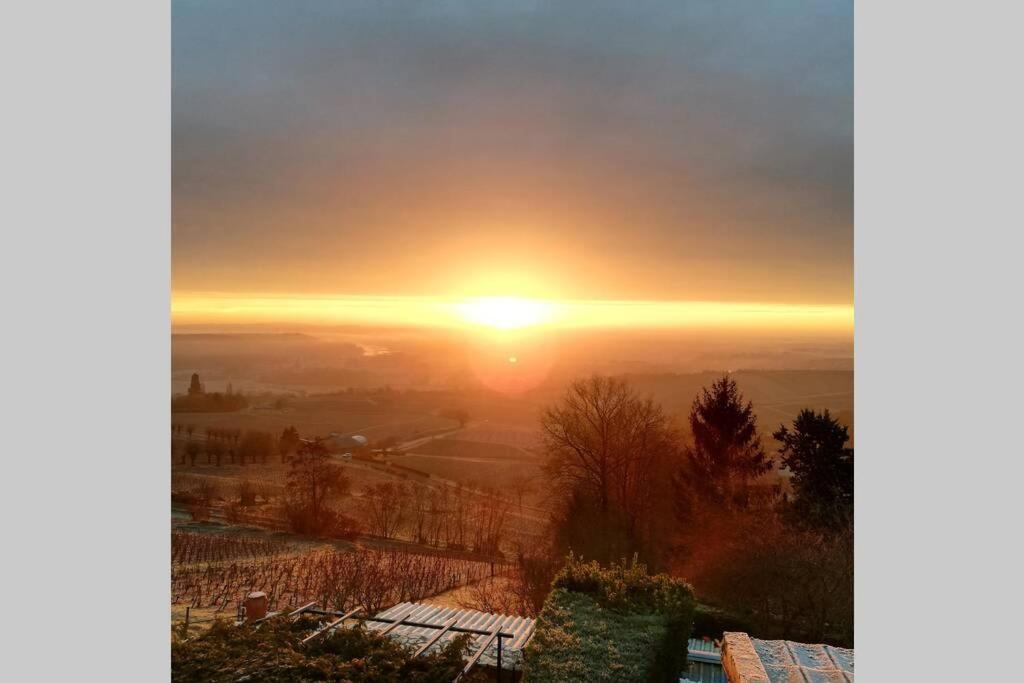 Vue Panoramique Sur Le Vignoble Apartman Sancerre Kültér fotó