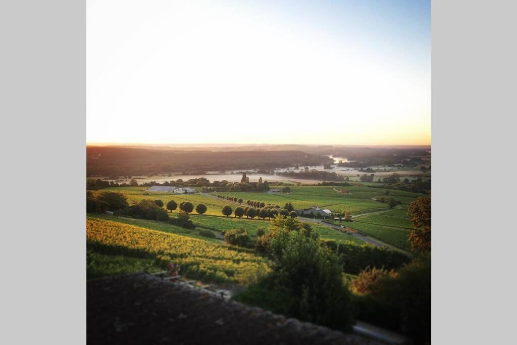 Vue Panoramique Sur Le Vignoble Apartman Sancerre Kültér fotó